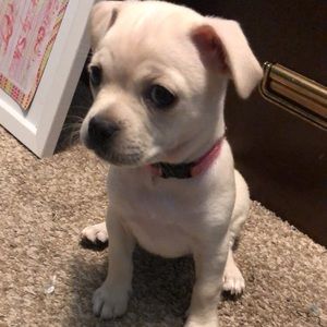 Meet your Posher, Mariana